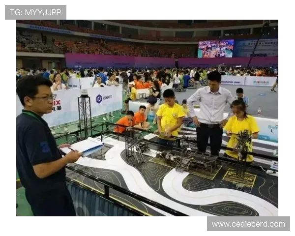 武汉乒乓球队的拼搏之路与荣耀时刻全景回顾