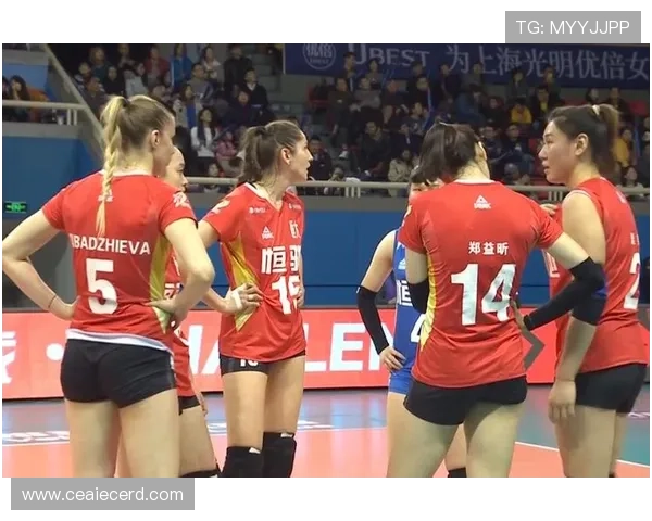 深圳与上海排球队对决赛后分析与经验总结