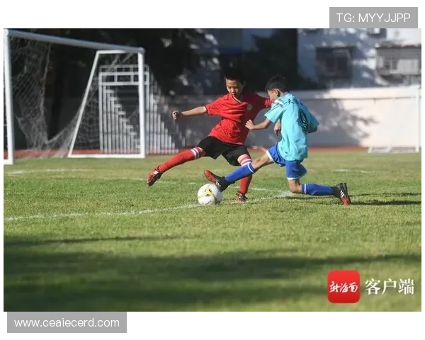 足球明星在绿茵场上挥洒汗水的精彩瞬间定格图集