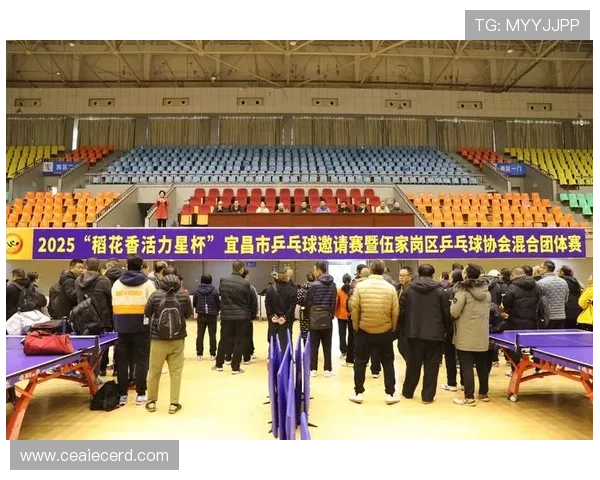 乒乓球灵活性排行榜：成都乒乓球队位居第6名